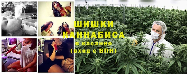 шишки Нефтегорск