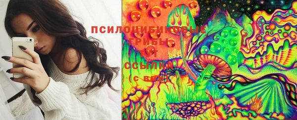 ПСИЛОЦИБИНОВЫЕ ГРИБЫ Нефтекумск