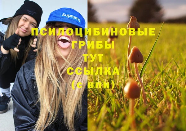 ешки Новозыбков