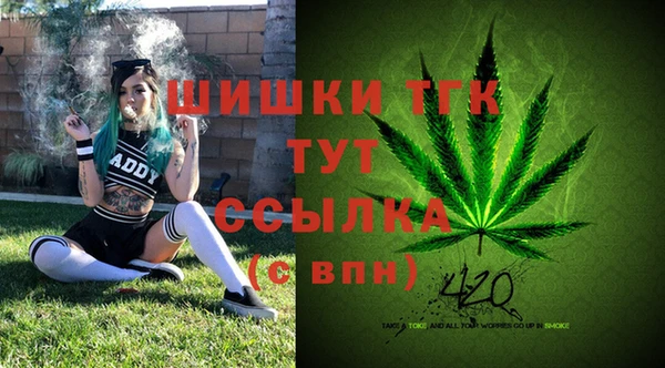прущие крисы Новокубанск