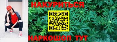 гидра Кандалакша