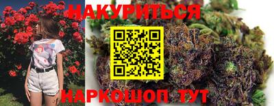 гидра Кандалакша