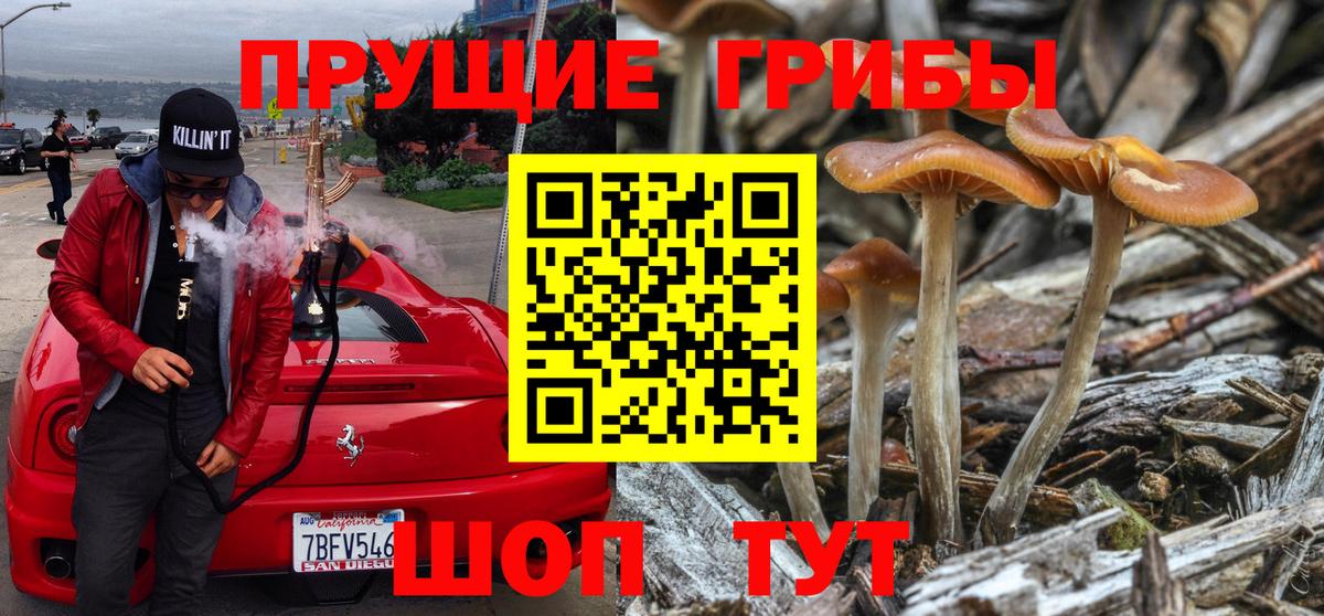 Фролово  Галлюциногенные грибы Cubensis  Галлюциногенные грибы мицелий  Вход с VPN 